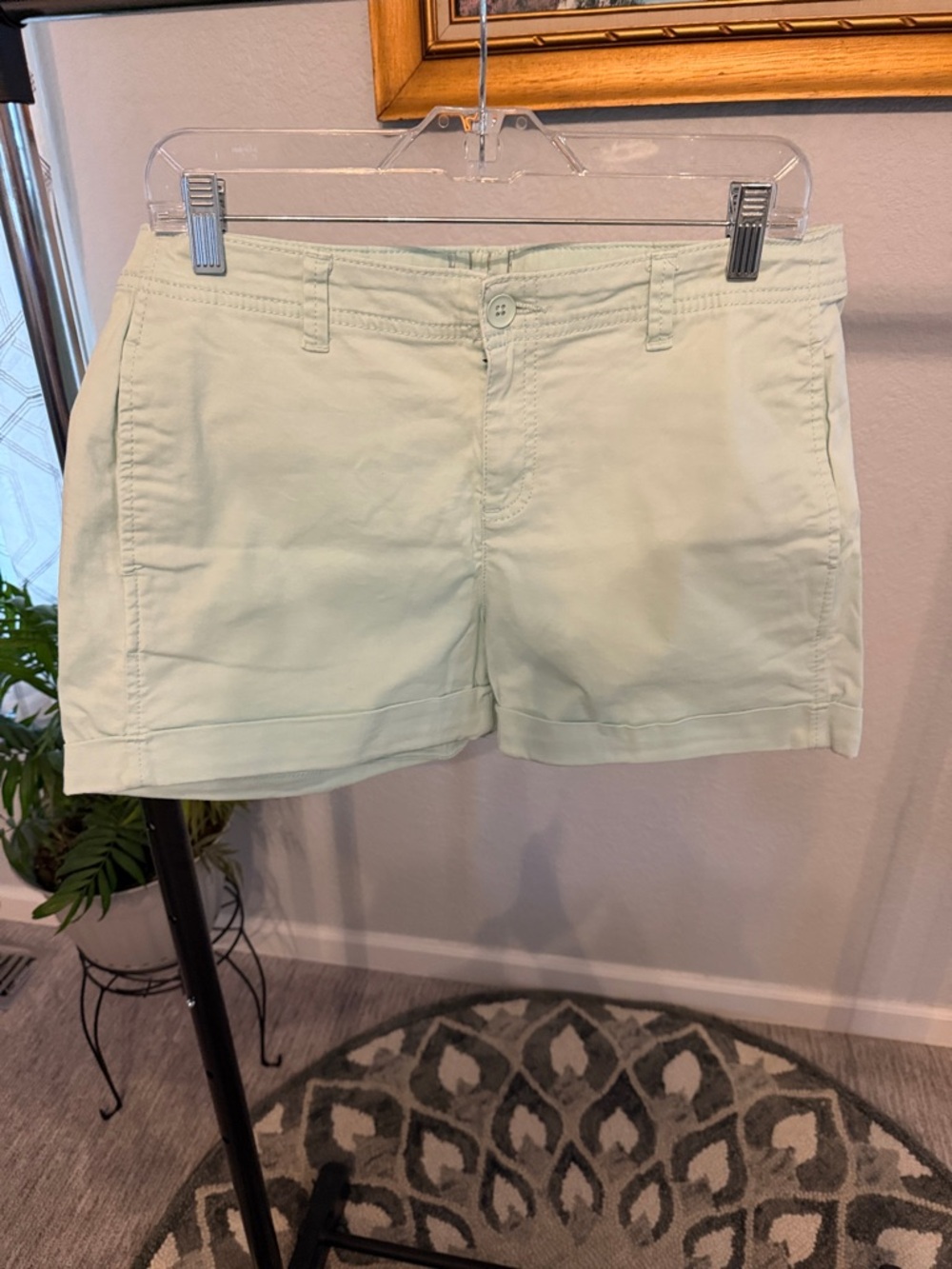 Elle Pastel Mint Women's Shorts